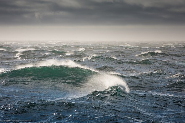 Загадочное природное явление: У побережья Охотского моря вода стала желтого цвета