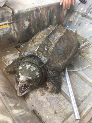 Рыбаки из Оклахомы выловили огромное ужасное чудовище