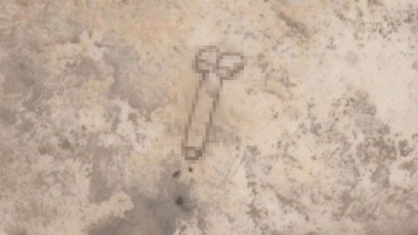 Гигантский пенис нашли в Австралии