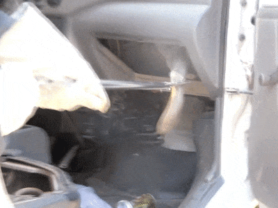 Видео: Трехметровую кобру с трудом достали из машины