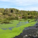 Ростовские водопроводчики придумали, как лишить воду неприятного запаха