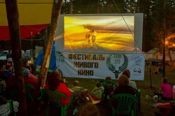 В Петербурге на фестивале «Кинолес» покажут работы молодых режиссеров