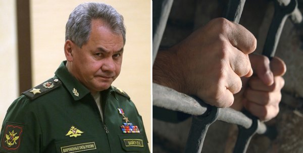 «Арест Шойгу»: Информацию о задержании министра обороны России массово ищут в Google