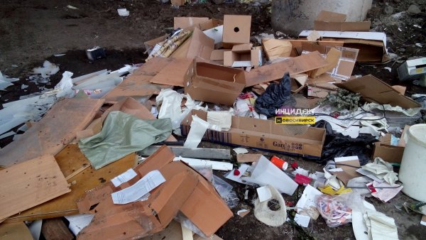 «Если бы не Путин…»: Пользователи нашли крайнего в свалке мусора в Новосибирске