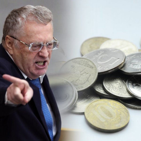 «Подложил свинью» Жириновскому: Приамурский депутат ЛДПР задекларировал доход в три копейки