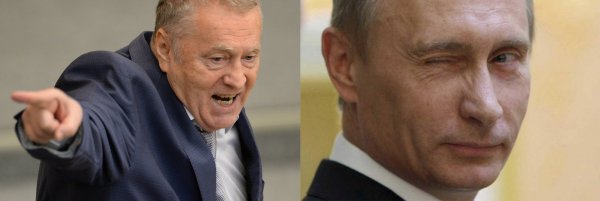 Мастак переобуваться в воздухе: Своими громкими заявлениями Жириновский сохраняет рейтинг Путина