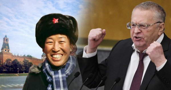 У деда приступ: Жириновского высмеяли в сети за панический страх Зеленского и Китая