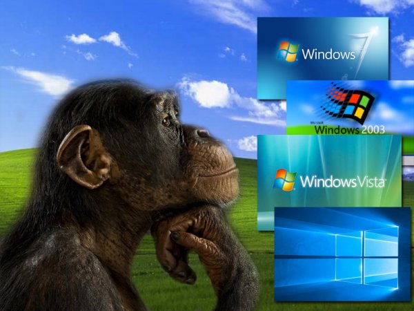 Капкан от Microsoft: Все версии Windows до 2012 года может атаковать новый вирус