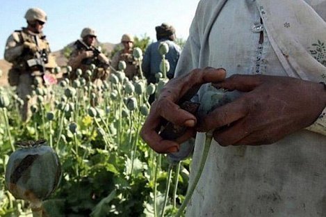 Спецназ Кадырова готов перерезать канал поставки наркотиков из Афганистана