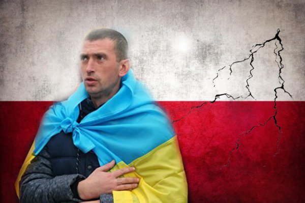 Украинцы грубо ответили экс-главе МИД Польши о возвращении Крыма
