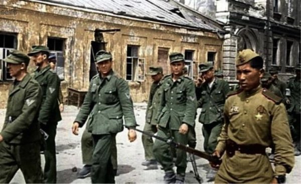 Австралийский историк утверждает, что немцы разгромили русских под Москвой в 1941-м