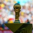 FIFA пригрозила ростовчанам штрафом за использование самодельной символики ЧМ-2018
