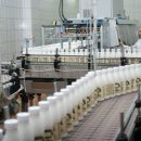 Роскачество: 75% молока в ЦФО соответствует стандартам качества