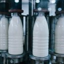 Россия и Белоруссия намерены снять ограничения на поставки молока