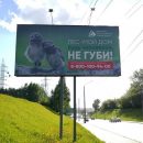 Житель Томска возмущён лицемерием властей по вопросам сбережения леса Житель Томска возмущён лицемерием властей по вопросам сбережения леса