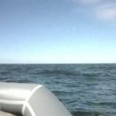 Ростовчанин собирается переплыть Черное море вместе с друзьями