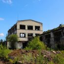 В Воронеже нашли необычный оазис со своей экосистемой на крыше заброшенного завода В Воронеже нашли необычный оазис со своей экосистемой на крыше заброшенного завода