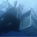 Баскетболист Шакил О’Нил столкнулся с акулой в закрытой клетке под водой Баскетболист Шакил О’Нил столкнулся с акулой в закрытой клетке под водой