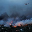 Причиной пожаров в Греции мог стать поджог