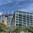 Европарламент назвал «незаконным» строительство и использование Крымского моста