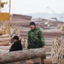 «Кожемяко, спаси!»: учёные Владивостока требуют остановить вырубку лесов китайцами