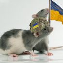 Военные ВСУ убили командира за попытку отправить их на задание