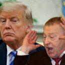 Разделяй и властвуй: Жириновский заявил, что Трамп «подсматривает» в его программу
