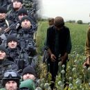 Спецназ Кадырова готов перерезать канал поставки наркотиков из Афганистана Спецназ Кадырова готов перерезать канал поставки наркотиков из Афганистана