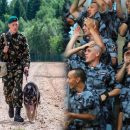 Росгвардия заберет пограничные войска у ФСБ – эксперт Росгвардия заберет пограничные войска у ФСБ – эксперт